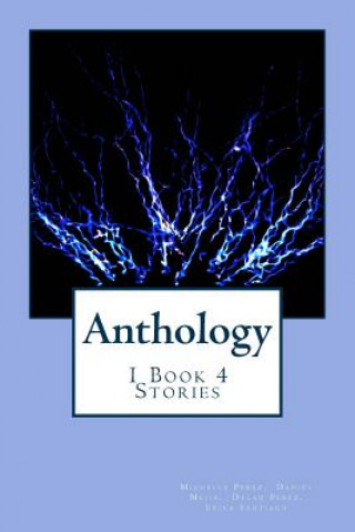 Kniha Anthology: 1 Book 4 Stories Michelle Perez