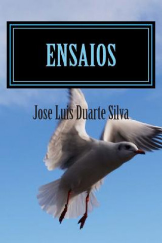 Könyv Ensaios: Colectânea de contos imaginários de casos irreais. Jose Luis Duarte Silva