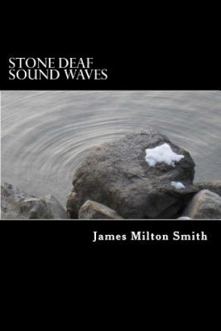 Buch Stone Deaf Sound Waves James Milton Smith