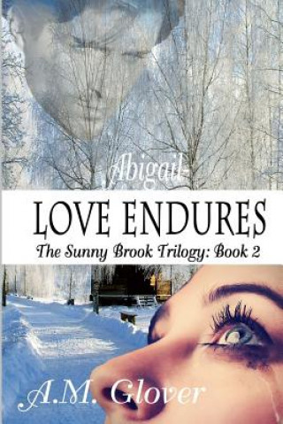 Könyv Abigail- Love Endures: Book 2- The Sunny Brook Trilogy A M Glover