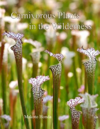 Carte Carnivorous Plants in the Wilderness: Color Photography Edition Makoto Honda