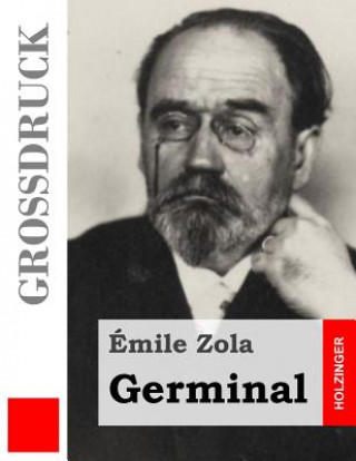 Kniha Germinal (Großdruck) Emile Zola