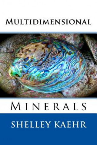 Książka Multidimensional Minerals Shelley Kaehr