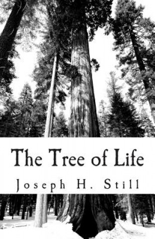 Książka The Tree of Life Joseph H Still