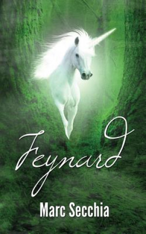 Boek Feynard Marc Secchia