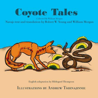 Kniha Coyote Tales Robert W Young