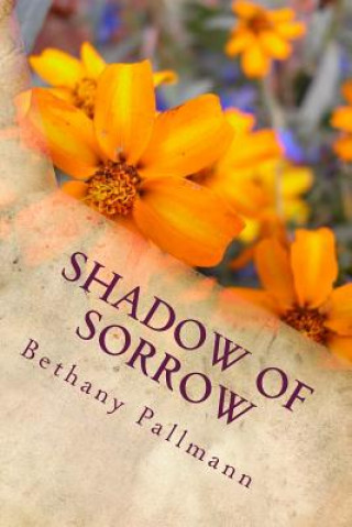 Книга Shadow of Sorrow Bethany Pallmann