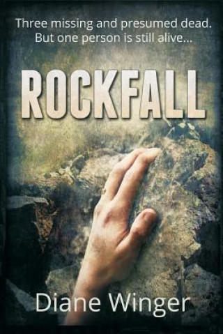 Kniha Rockfall Diane Winger