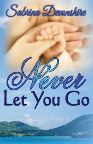 Book Never Let You Go Sabrina Devonshire