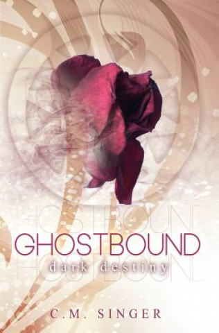 Könyv Ghostbound 3 - US-Edition: Dark Destiny C M Singer