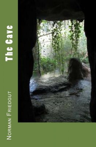 Kniha The Cave Norman Friedgut