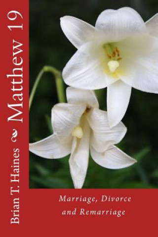 Книга Matthew 19: Marriage, Divorce and Remarriage Brian T Haines