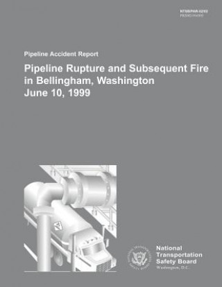Könyv Pipeline Accident Report: Pipeline Rupture and Subsequent Fire in Bellingham, Washington June 10, 1999 National Transportation Safety Board