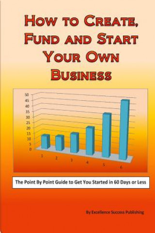 Kniha How to Create, Fund and Start Your Own Business Excellence Success Publishing