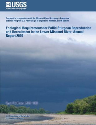 Könyv Ecological Requirements for Pallid Sturgeon Reproduction and Recruitment in the Lower Missouri River: Annual Report 2010 U S Department of the Interior
