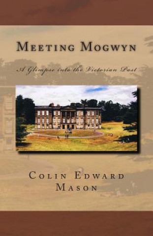 Knjiga Meeting Mogwyn: A Glimpse into the Victorian Past MR Colin Edward Mason