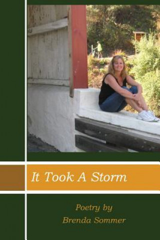 Knjiga It Took a Storm Brenda Sommer