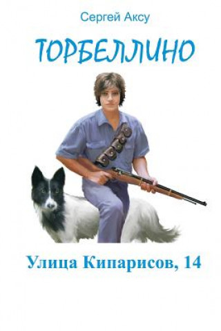 Könyv Ulitsa Kiparisov, 14 Sergei Aksu