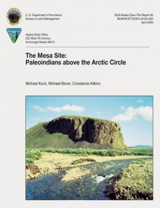 Buch The Mesa Site: Paleoindians Above the Arctic Circle U S Department of the Interior