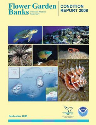 Könyv Flower Garden Banks National Marine Sanctuary Condition Report 2008 National Oceanis and Atmospheric Adminis
