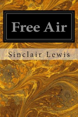 Buch Free Air Sinclair Lewis