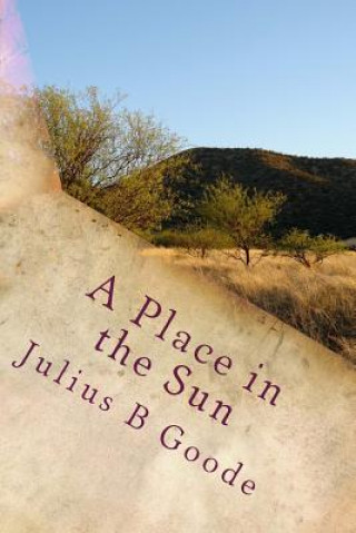 Kniha A Place in the Sun Julius B Goode