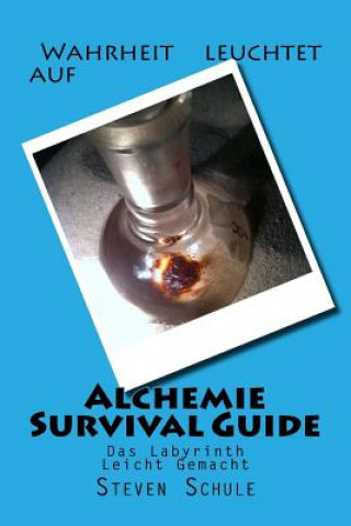 Kniha Alchemie Survival Guide: Das Labyrinth Leicht Gemacht Steven Schule