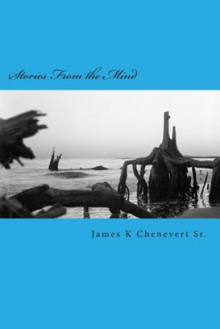 Könyv Stories From the Mind: Short Stories MR James K Chenevert Sr