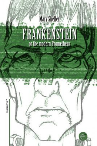 Kniha Frankenstein or the modern Prometheus Mary Shelley