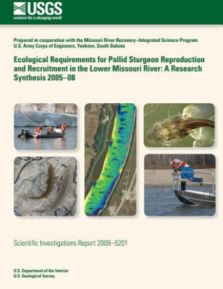 Livre Ecological Requirements for Pallid Sturgeon Reproduction and Recruitment in the Lower Missouri River: A Research Synthesis 2005?08 U S Department of the Interior