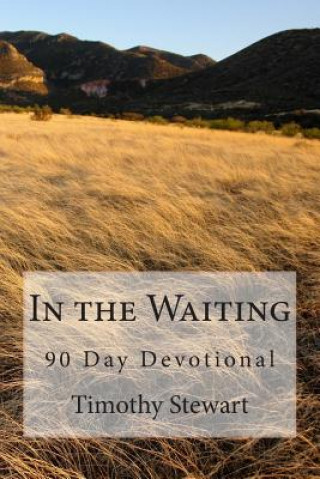 Książka In the Waiting: 90 Day Devotional Timothy D Stewart