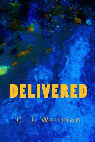 Book Delivered C J Wellman