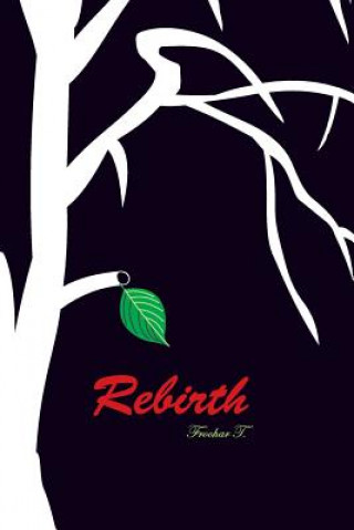 Buch Rebirth: An Authobiography Froohar T