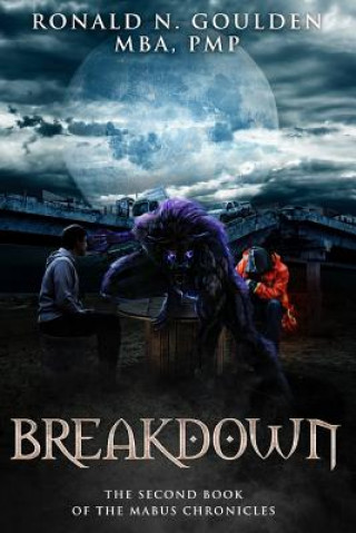 Boek Breakdown Ronald N Goulden