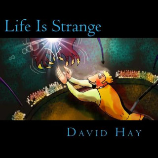 Książka Life Is Strange David Hay
