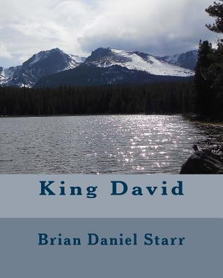 Книга King David MR Brian Daniel Starr