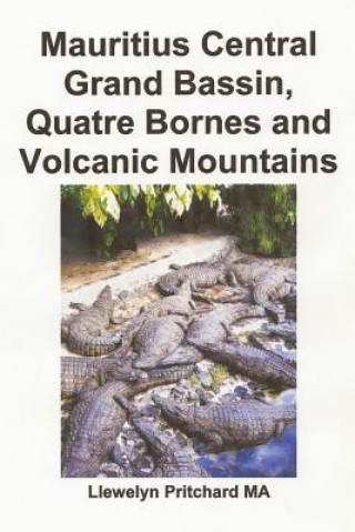 Kniha Mauritius Central Grand Bassin, Quatre Bornes and Volcanic Mountains: En Souvenir Innsamling AV Farge Fotografier Med Bildetekster Llewelyn Pritchard Ma
