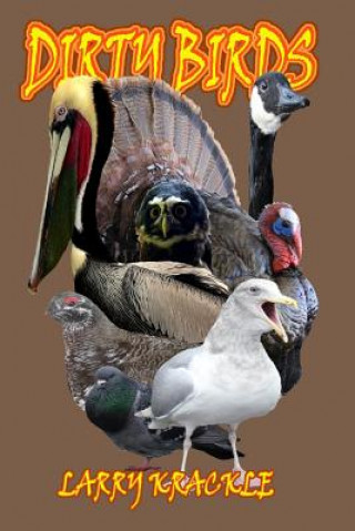 Boek Dirty Birds Larry Krackle