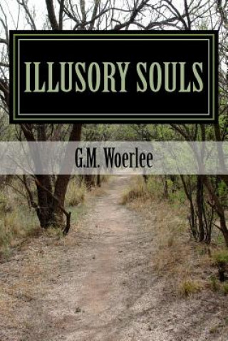 Книга Illusory Souls G M Woerlee