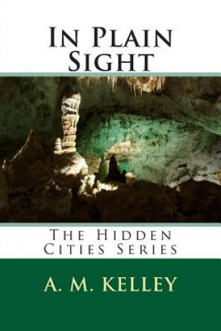 Book In Plain Sight A M Kelley