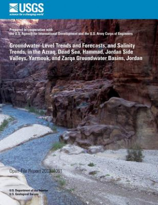 Kniha Groundwater-Level Trends and Forecasts, and Salinity Trends, in the Azraq, Dead Sea, Hammad, Jordan Side Valleys, Yarmouk, and Zarqa Groundwater Basin U S Department of the Interior