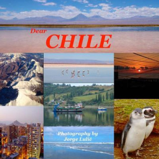 Knjiga Dear Chile MR Jorge Lulic
