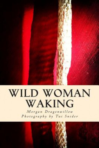 Book Wild Woman Waking Morgan Dragonwillow