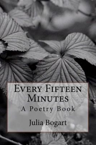 Buch Every Fifteen Minutes Julia Bogart