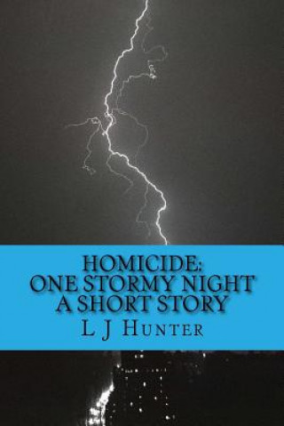 Könyv Homicide: One Stormy Night L J Hunter