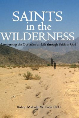 Könyv Saints in the Wilderness: Conquering the Obstacles of Life Malcolm W Coby Ph D