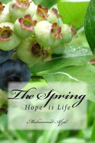 Knjiga The Spring MR Muhammad Afzal