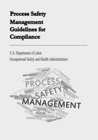 Carte Process Safety Management Guidelines for Compliance U S Department of Labor