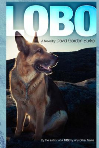 Libro Lobo David Gordon Burke