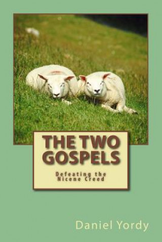 Knjiga The Two Gospels Daniel Yordy